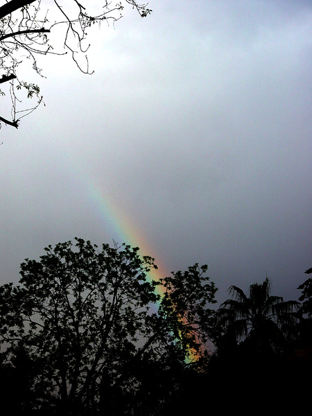 the rainbow out back